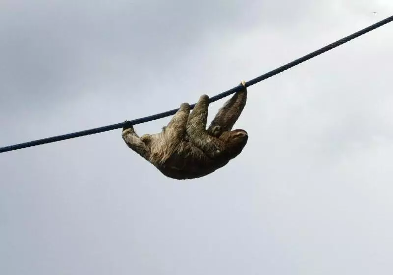 Jungle Beach Hotel Manuel Antonio