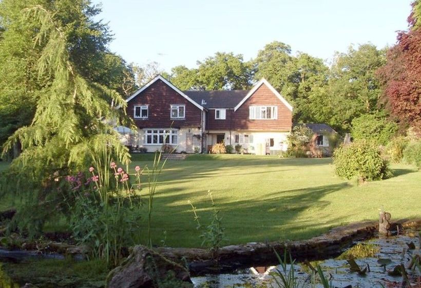 ホテル Little Forest Lodge