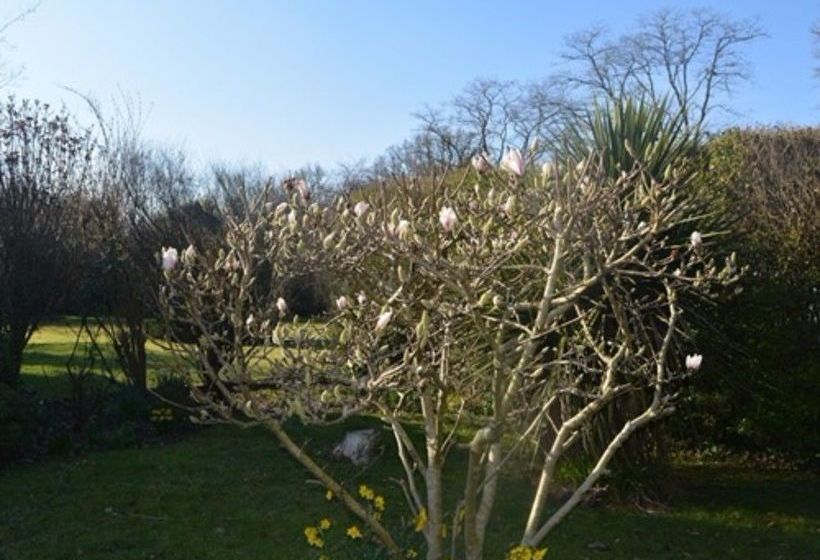 ホテル Little Forest Lodge