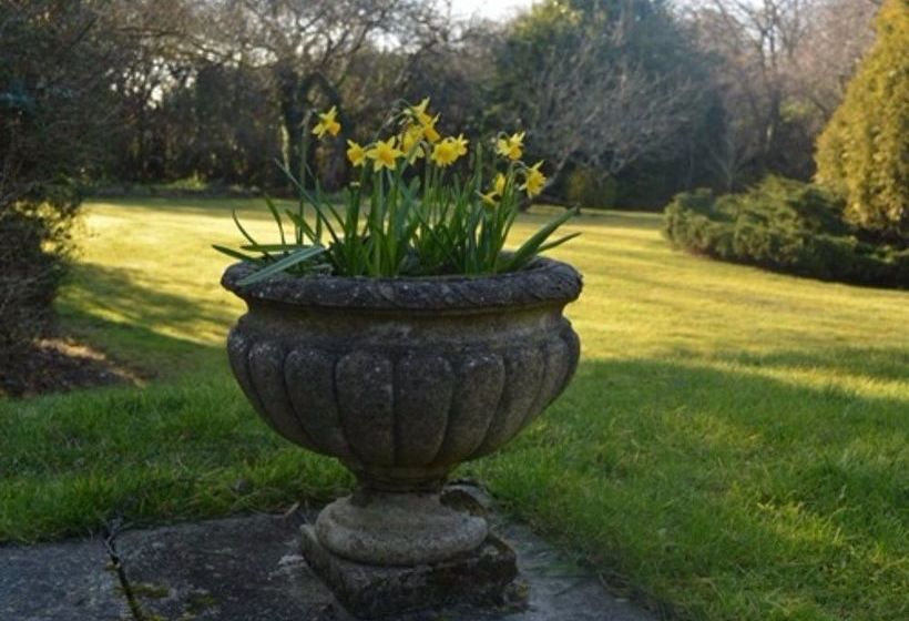 ホテル Little Forest Lodge