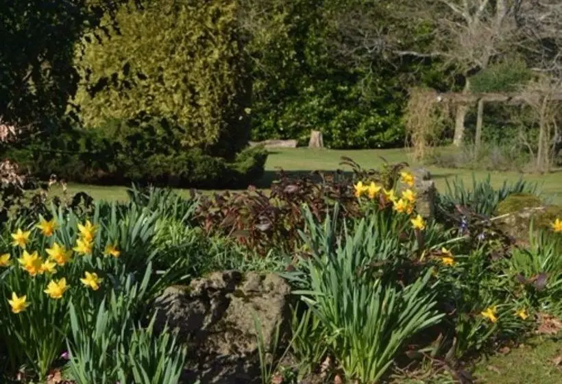 Отель Little Forest Lodge