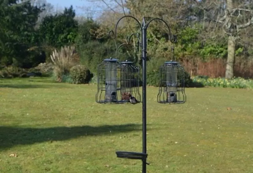 Отель Little Forest Lodge