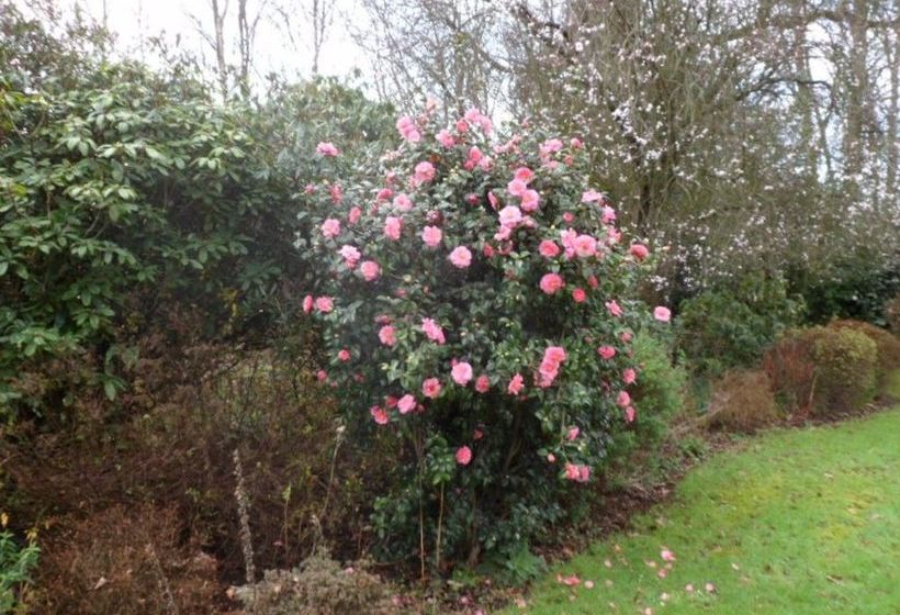 ホテル Little Forest Lodge