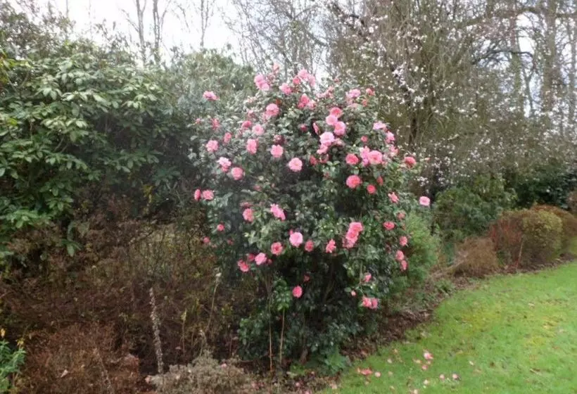 Отель Little Forest Lodge