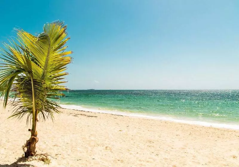 Hotel San Luis Beach House