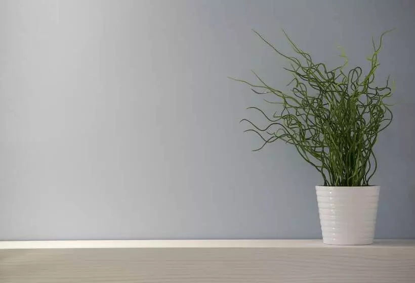 Отель Perla Gaia