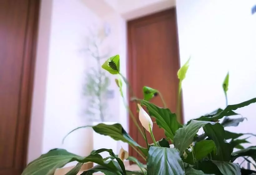 Отель Perla Gaia