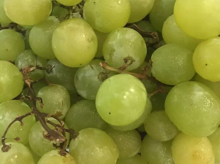 Отель Perla Gaia