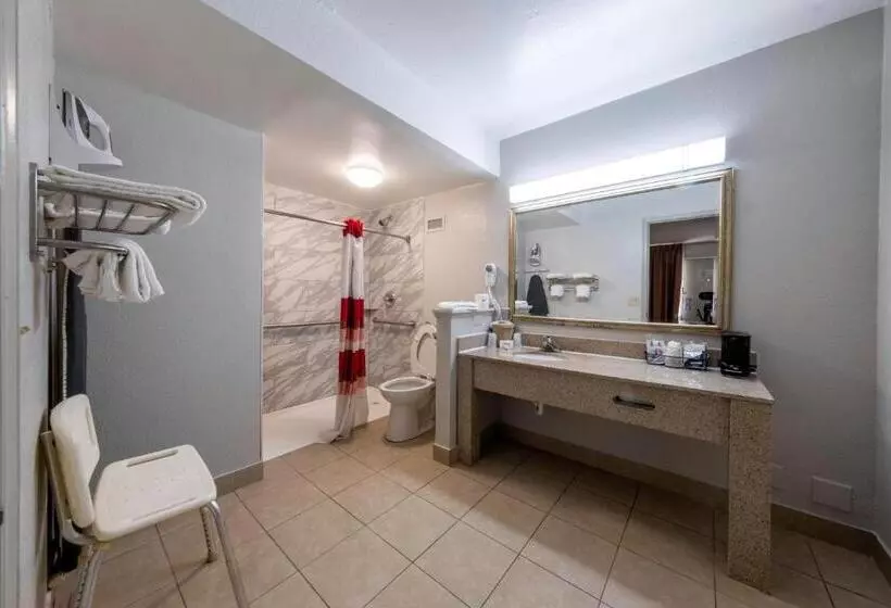 酒店 Red Roof Inn Charlottesville