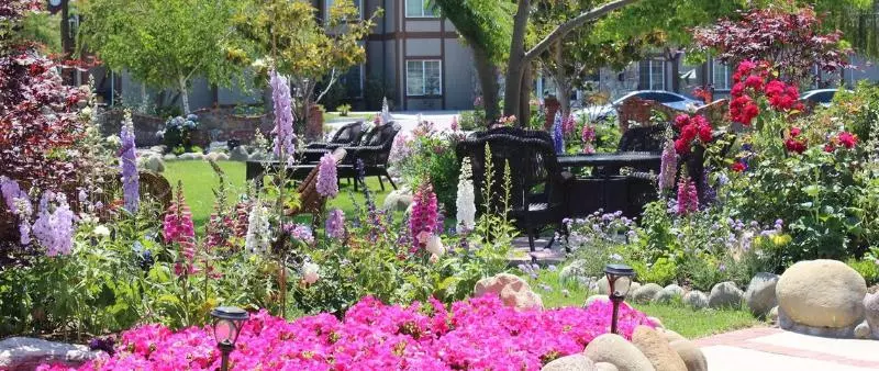 酒店 The M Solvang