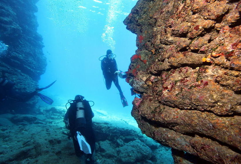 فندق Vivian Studios