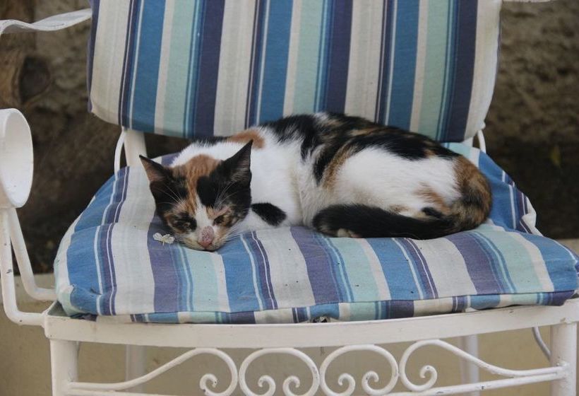 فندق Vivian Studios