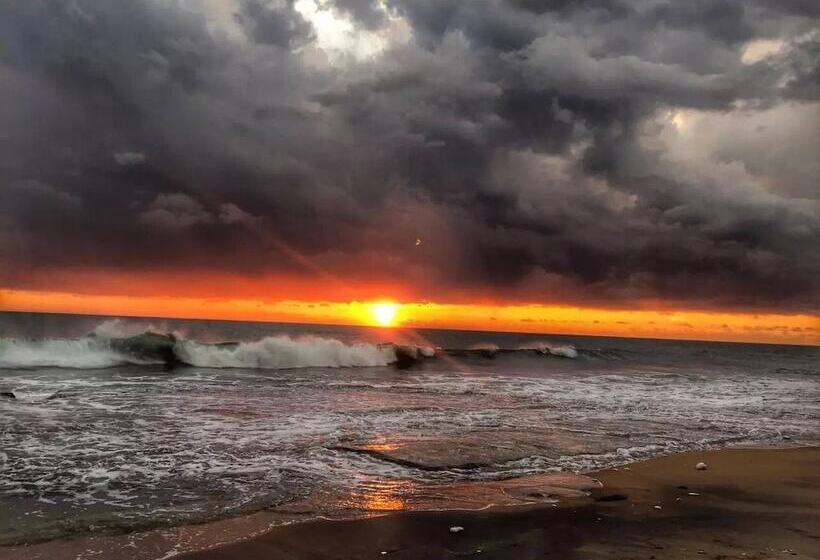 בית מלון כפרי Ziegler Cottage