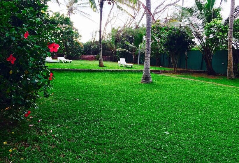 בית מלון כפרי Ziegler Cottage