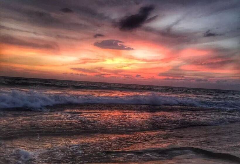 בית מלון כפרי Ziegler Cottage