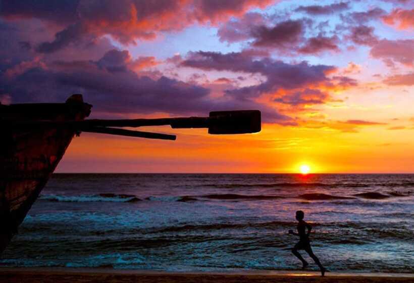 בית מלון כפרי Ziegler Cottage