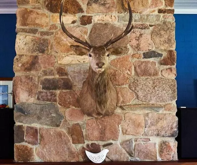 Пансион Victorias At Ewingsdale