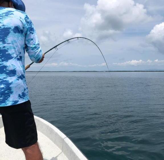 リゾートホテル Parrot Cove Lodge