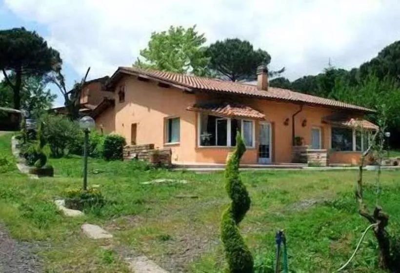 住宿加早餐  Maya