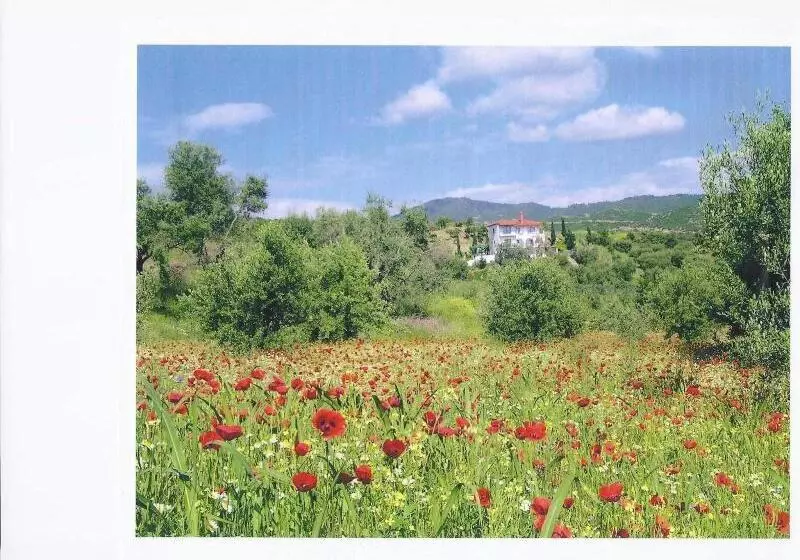 Aamiaismajoitus (B&B) Sartivista