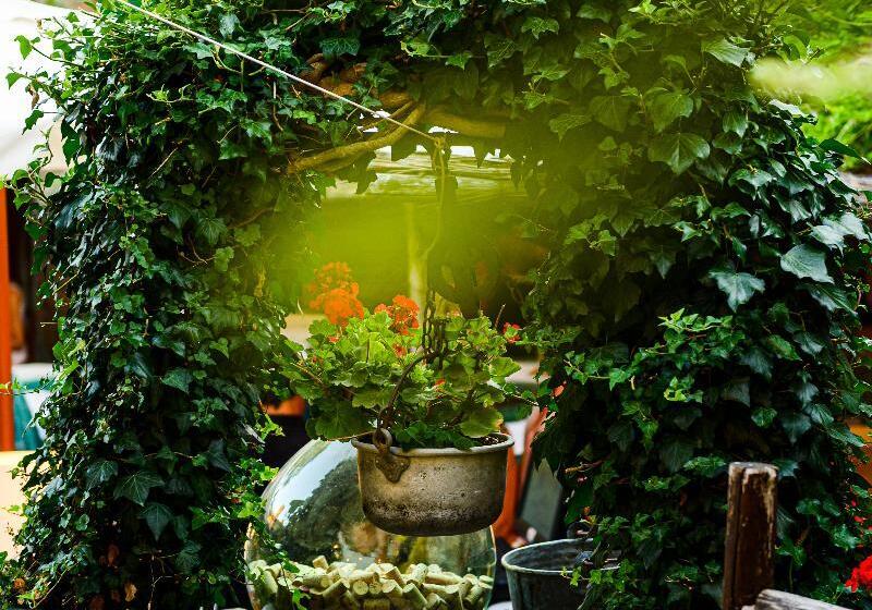 ホテル Boutique Villa Liberty   Dépendance   Borgo Capitano Collection   Albergo Diffuso