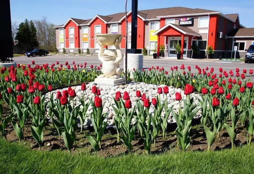 בית מלון כפרי Dreamz Inn