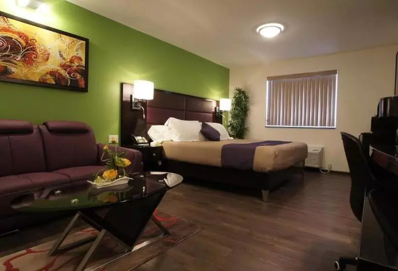 בית מלון כפרי Dreamz Inn