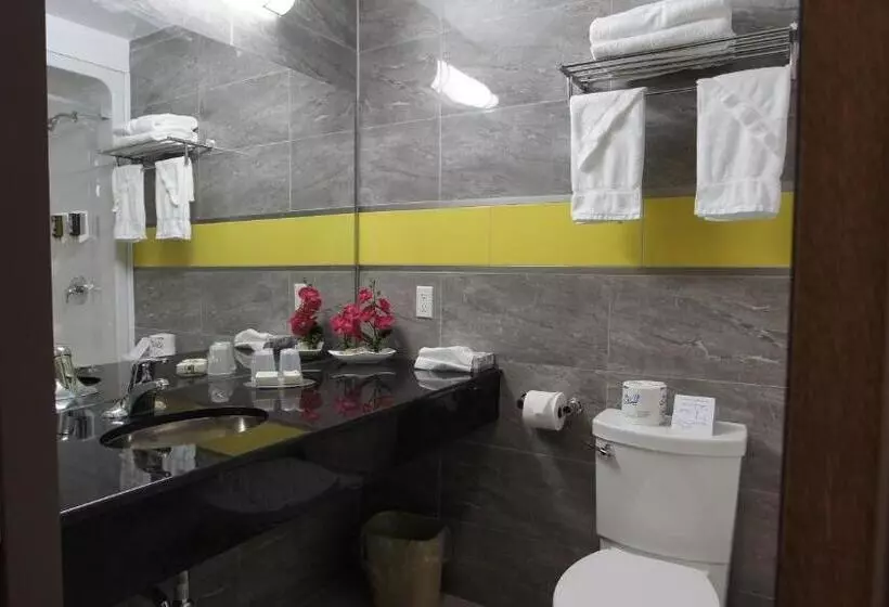 בית מלון כפרי Dreamz Inn