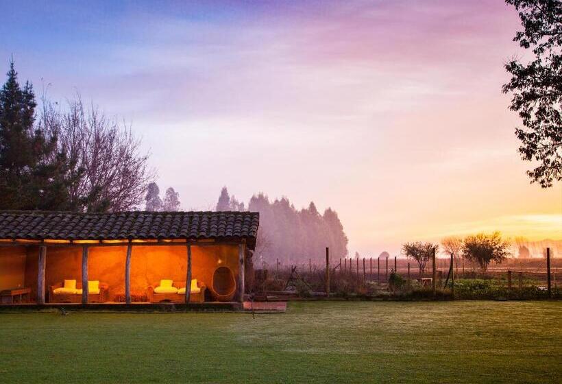 فندق Noi Blend Colchagua