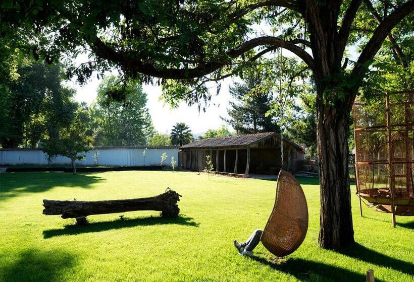 فندق Noi Blend Colchagua