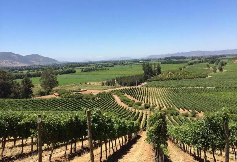 هتل Noi Blend Colchagua