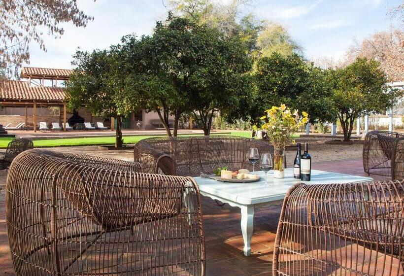 فندق Noi Blend Colchagua