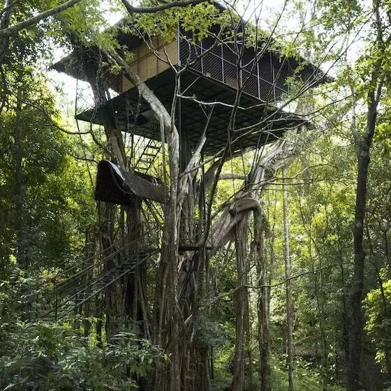 酒店 Vythiri Resort