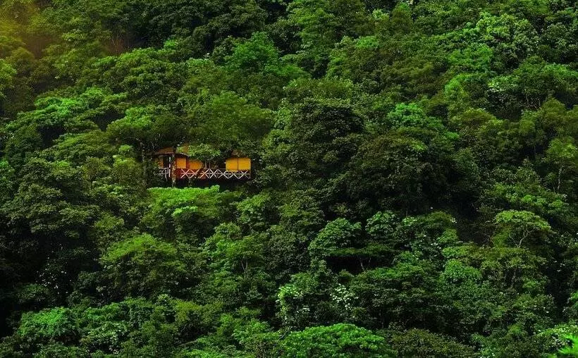 酒店 Vythiri Resort