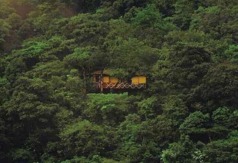 בית מלון כפרי Vythiri Resort