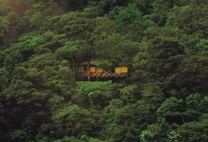 酒店 Vythiri Resort