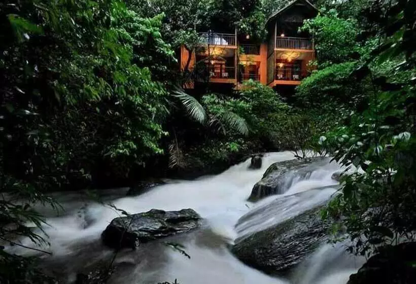 酒店 Vythiri Resort