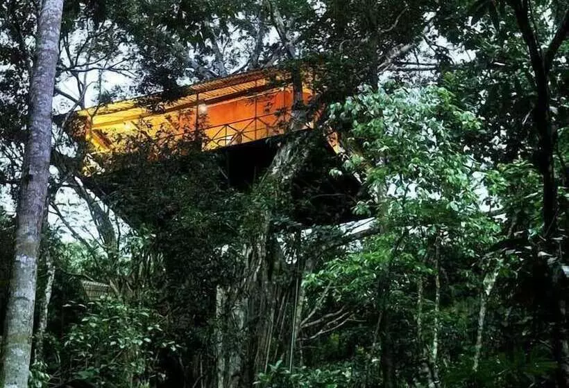 酒店 Vythiri Resort