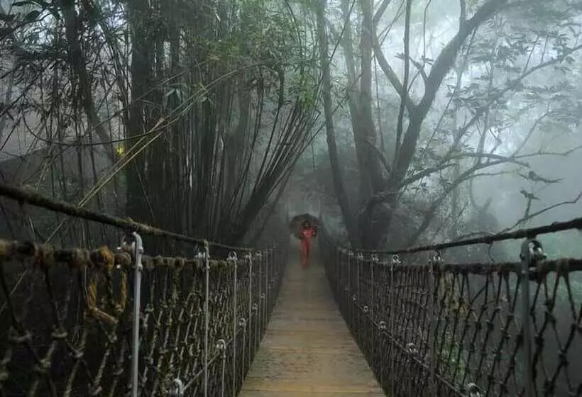 酒店 Vythiri Resort