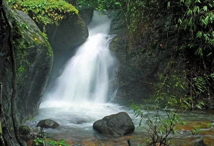 酒店 Vythiri Resort