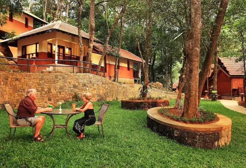 酒店 Vythiri Resort