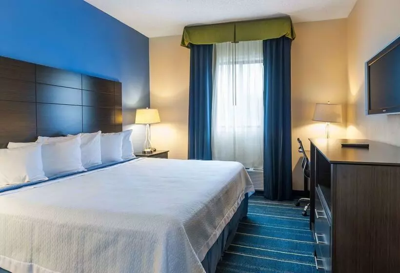 汽车旅馆 Days Inn By Wyndham Tamworth