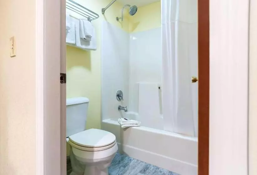 汽车旅馆 Days Inn By Wyndham Tamworth