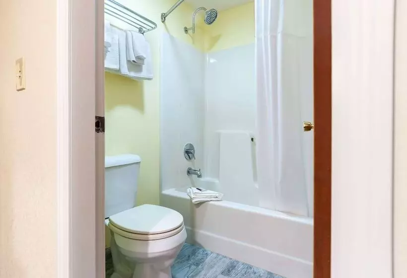 汽车旅馆 Days Inn By Wyndham Tamworth