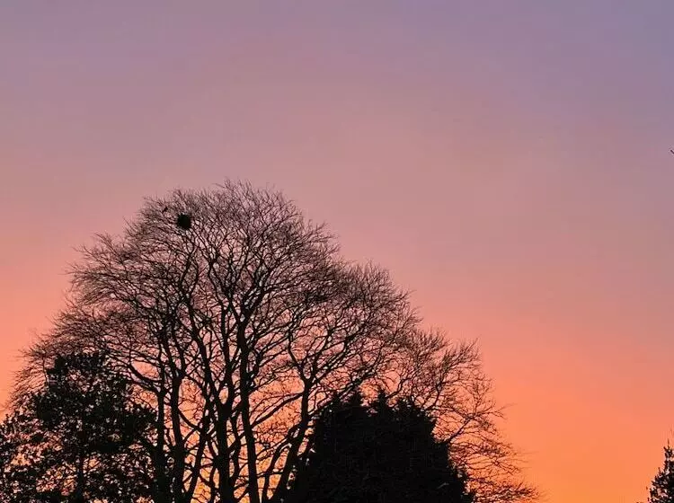 ベッドアンドブレックファースト Tumbleweed Cottage