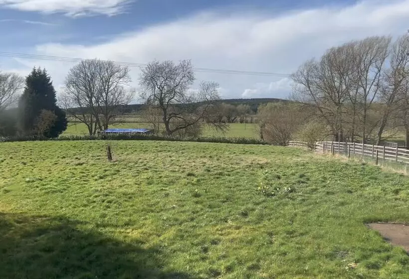 ベッドアンドブレックファースト Tumbleweed Cottage