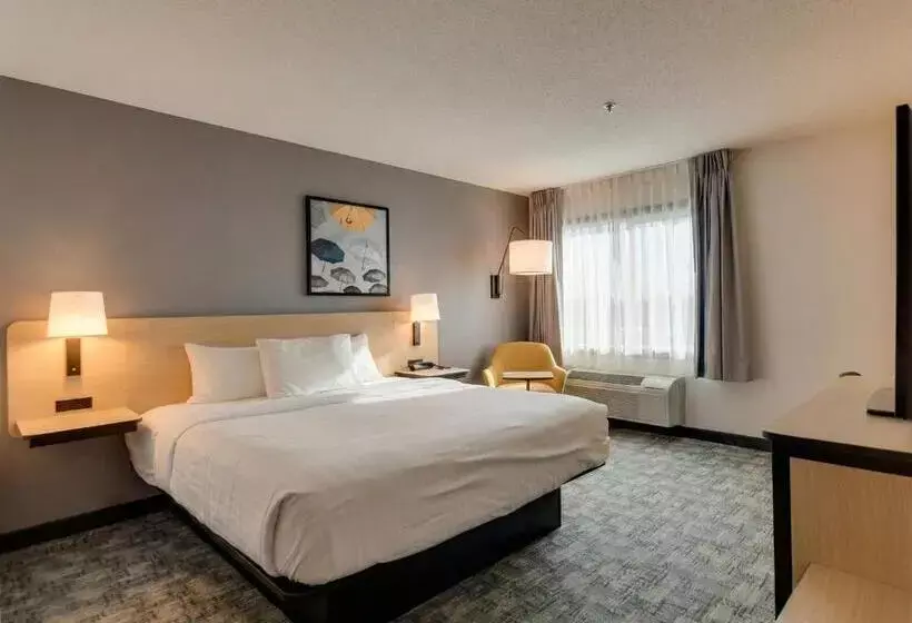 ホテル City Express by Marriott Bemidji