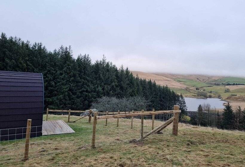 Отель Forester S Retreat Glamping   Dinas View