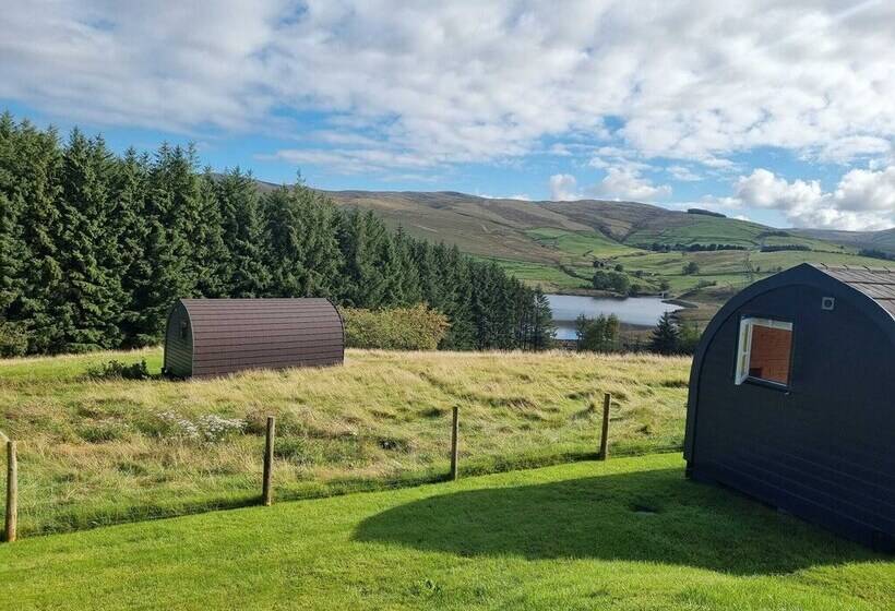 Отель Forester S Retreat Glamping   Dinas View