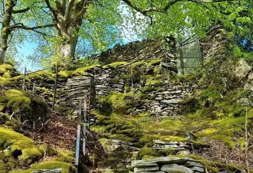 Hotelli Forester S Retreat Glamping   Dinas View